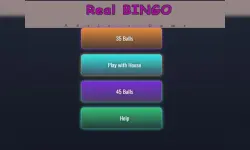 BINGO Real image