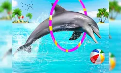 Dolphin Water Stunts Show image
