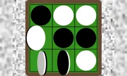 Black and White Puzzle image