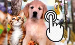Pets Clicker image