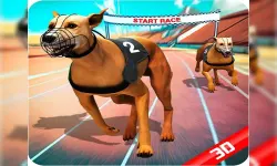 Crazy Dog Race image
