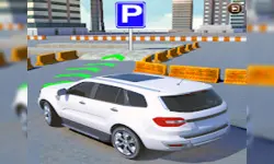 Prado Drift Parking -Free image