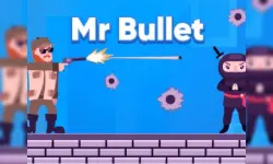 Mr Bullet image