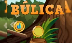Bulica image
