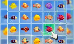 Fishing Puzzles image