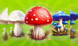 MergeMushrooms: 2048! image