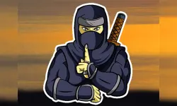 Ninja in Cape image