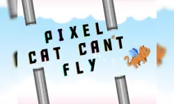 Pixel Cat Cant Fly image