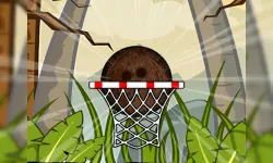 Coconut Basketball image
