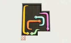 Snake Puzzle image