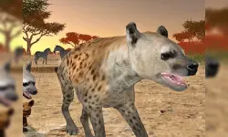 Hyena Simulator 3D image