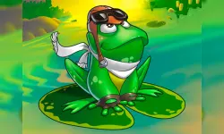 Pond Race image