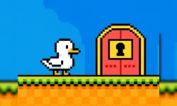 Duck Duck image