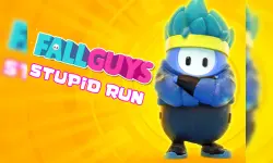 Fall Guys Stupid Run image