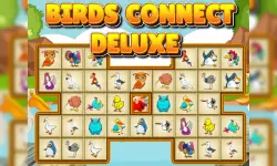 Birds Connect Deluxe image