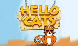 HELLO CAT image