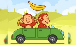 Hill Monkey image