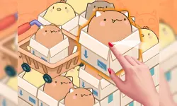 Mart Puzzle Box Cat image