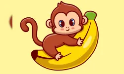 Cartoon Animal Puzzle image