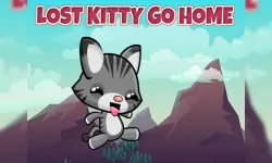 Lost Kitty Go Home image