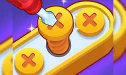 Screw Pin Jam Puzzle image