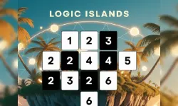 Logic Islands image