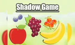 Shadow Game image