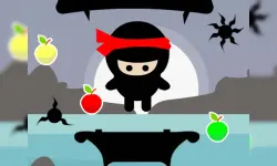 Ninja Jumper image