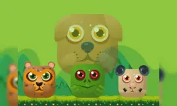 Animal Match Master image
