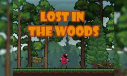 Lost in the Woods image