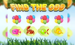 Find the Odd image