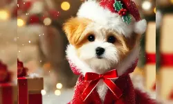 Cute Animals Jigsaw Adorable Puppies and Kittens image