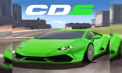 Racing Car Dual Control image