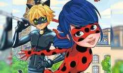 Ladybug Differences image