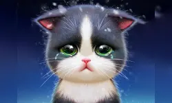 Kitten Bowling image