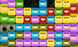 Angry Owls image