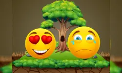 Sad or Happy image
