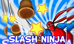 Slash Ninja image