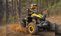 ATV Offroad Puzzle image