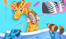 My Pet Vet Hospital image