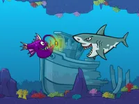 sea fish image