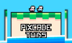 Pixcade Twins image