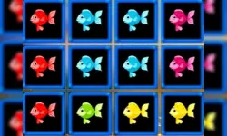 1010 Fish Blocks image