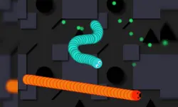 Snake Worm image