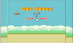 flappy bird 2D image