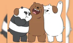 We Bare Bears Difference image