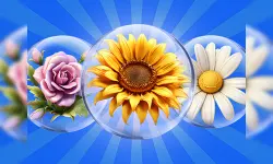 Dice Puzzle Flowers! image