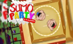 Sumo Fight image