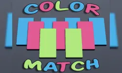 Color Match Puzzle image