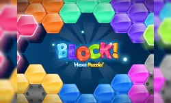 Block Hex Puzzle image